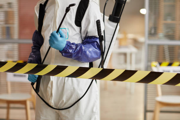 Professional Biohazard technician working in Pine, AZ